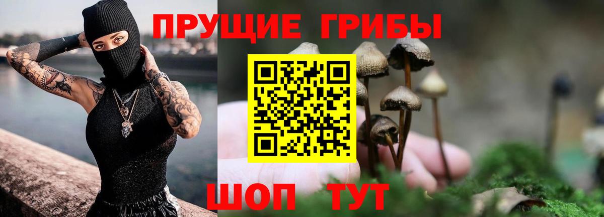 Кольчугино  закладка  Вход с VPN  Галлюциногенные грибы Magic Shrooms 